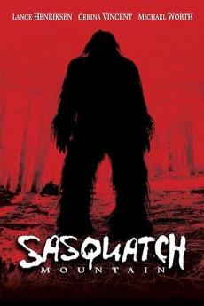 Sasquatch Mountain 2006 720p web YTS