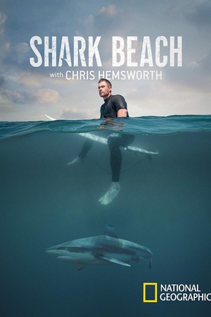 Shark Beach with Chris Hemsworth 2021 1080p web YTS