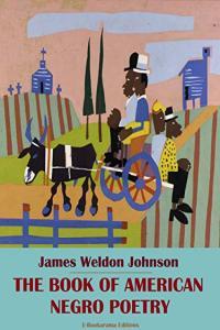 The Book of American Negro Poetry by James Weldon Johnson MOBI