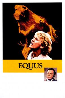 Equus 1977 720p bluray YTS