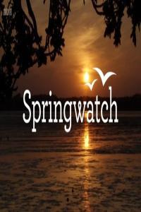 BBC Springwatch Red Button 2023 1080p x265 AAC MVGroup org mkv