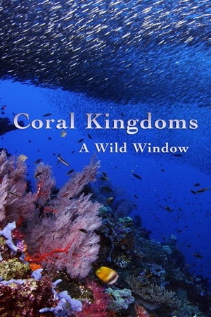 Wild Window: Coral Kingdoms 2016 1080p web YTS