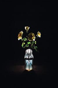 Billy Strings Renewal 2021 24Bit 96kHz FLAC PMEDIA