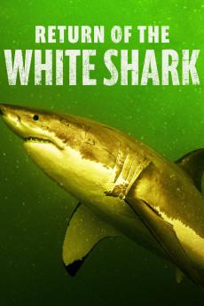Return of the White Shark 2023 720p web YTS