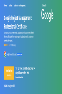 Coursera Google Project Management Professional Certificate AhLaN