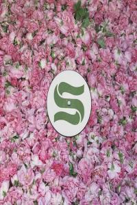 Braxe Falcon Step By Step Remixes 2023 Mp3 320kbps PMEDIA