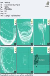 Professional Certificate in Python Programming DevCourseWeb