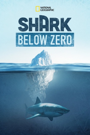 Shark Below Zero 2023 1080p web YTS