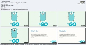 Udemy Build a good structure with golang go gin mysql gorm