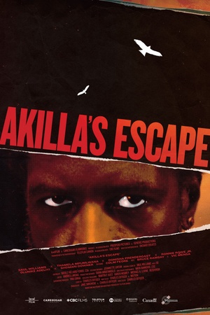 Akilla's Escape 2020 1080p web YTS
