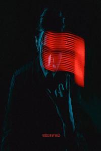 Falling In Reverse Voices In My Head 2022 24Bit 44 1kHz FLAC PMEDIA