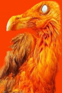 Torus 333 Mirrors 2022 Mp3 320kbps PMEDIA