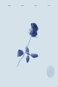 electronic jazz psychedelic rock 2022 Y Bülbül Yumurta Not One Not Two FLAC DarkAngie