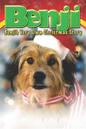 Benji's Very Own Christmas Story 1978 1080p bluray YTS