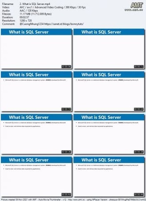 Udemy SQL Data Analysis for beginners MS SQL SQL Server SSMS