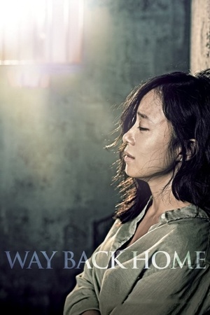 Way Back Home 2013 1080p bluray YTS
