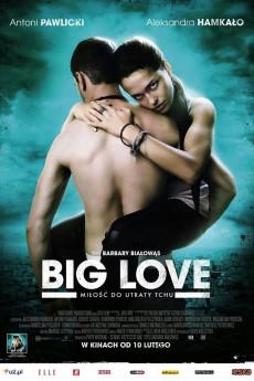 Big Love 2012 720p web YTS