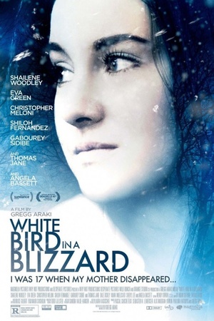 White Bird in a Blizzard 2014 1080p bluray YTS