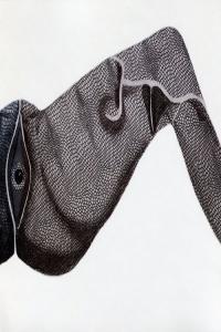 Pink Floyd Live at Grosser Saal Musikhalle Hamburg West Germany 25 Feb 1971 2021 FLAC PMEDI