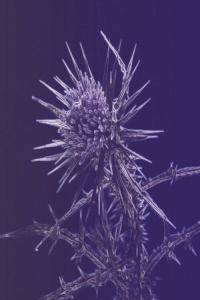 John Tejada Sleepwalker 2022 Mp3 320kbps PMEDIA