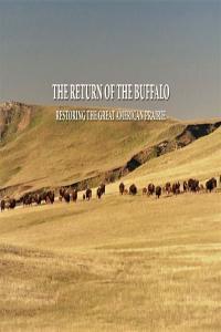 Return Of The Buffalo Restoring The Great American Prairie 1080p HDTV x264 AAC MVGroup org mp4