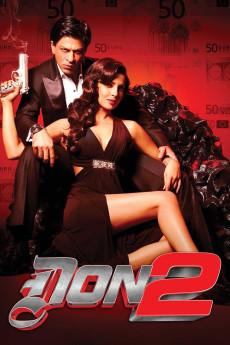 Don 2 2011 720p web YTS