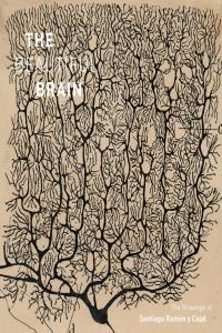The Beautiful Brain The Drawings of Santiago Ramon y Cajal by Eric Newman AZW3