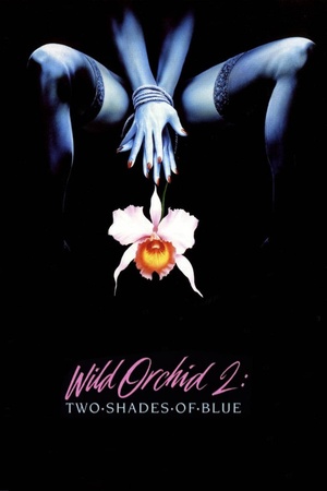 Wild Orchid II: Two Shades of Blue 1991 1080p web YTS