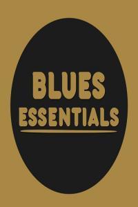 VA Blues Essentials 2020 Mp3 320kbps PMEDIA