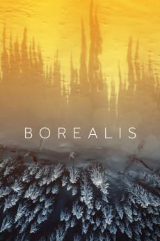 Borealis 2020 720p web YTS