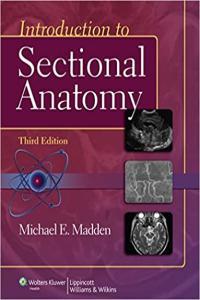 Introduction to Sectional Anatomy 3rd Edition FreeCourseWeb