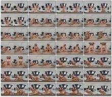 VirtualTaboo Lily Blossom Shalina Devine Family Heatwave VR Porn 3630p