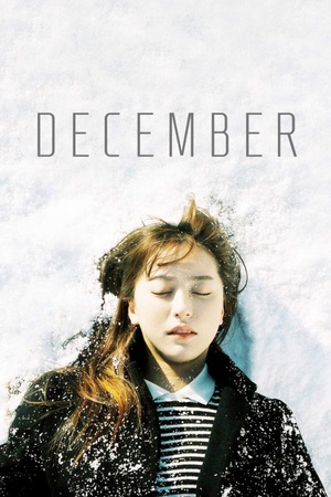 December 2013 1080p web YTS