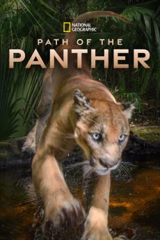Path of the Panther 2022 720p web YTS