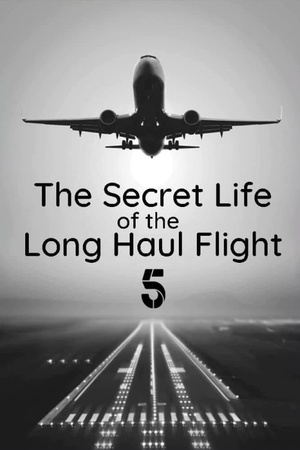 Secret Life of the Long Haul Flight 2017 1080p web YTS