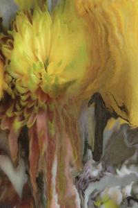 Parker Millsap Wilderness Within You 2023 24Bit 96kHz FLAC PMEDIA