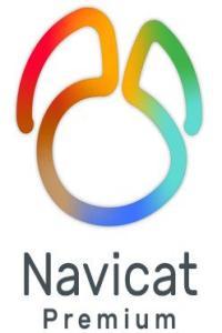Navicat Premium v16 1 2 Keygen haxNode