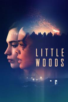 Little Woods 2018 720p web YTS