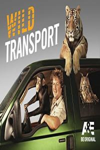Wild Transport S01E04 WEBRip x264 XEN0N