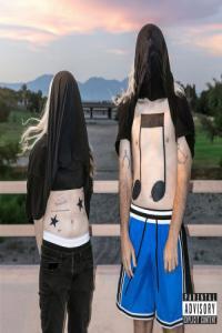 100 gecs 10 000 gecs 2023 24Bit 44 1kHz FLAC PMEDIA