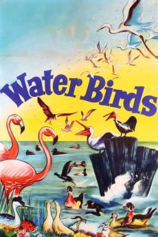 Water Birds 1952 720p web YTS
