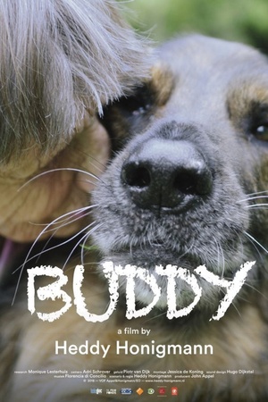Buddy 2018 1080p web YTS
