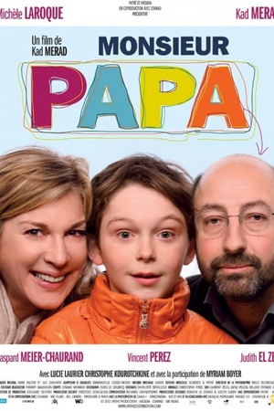 Monsieur Papa 2011 1080p web YTS