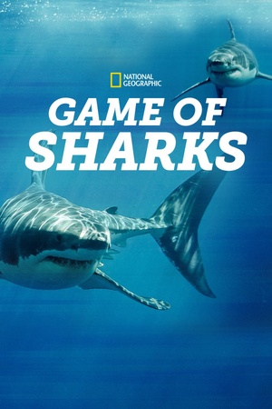 Game of Sharks 2022 1080p web YTS