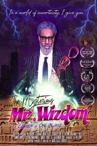 The Mysterious Mr Wizdom 2021 1080p AMZN WEBRip 1400MB DD2 0 x264 GalaxyRG