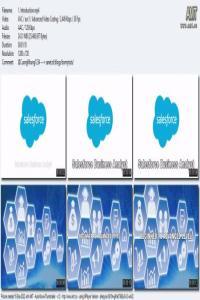 Salesforce Business Analyst Training for Beginner to Advance CourseWikia