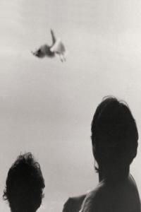 Federico Albanese Before And Now Seems Infinite 2022 24Bit 96kHz FLAC PMEDIA