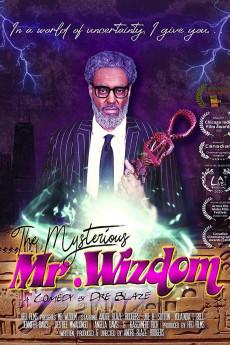 The Mysterious Mr. Wizdom 2020 720p web YTS