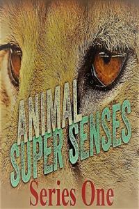Animal Super Senses Series 1 12of13 Communication 1080p HDTV x264 AAC MVGroup org mp4