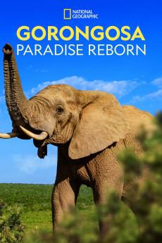 Gorongosa: Paradise Reborn 2022 720p web YTS